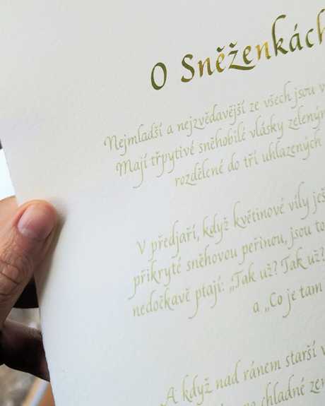 Báseň O sněženkách psaná italikou