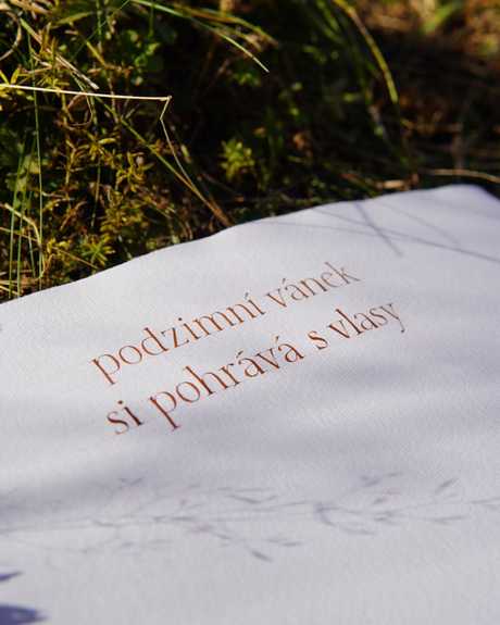 Citát „Podzimní vánek si pohrává s vlasy“ v trávě